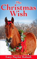 Christmas Wish book cover
