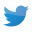 Twitter icon